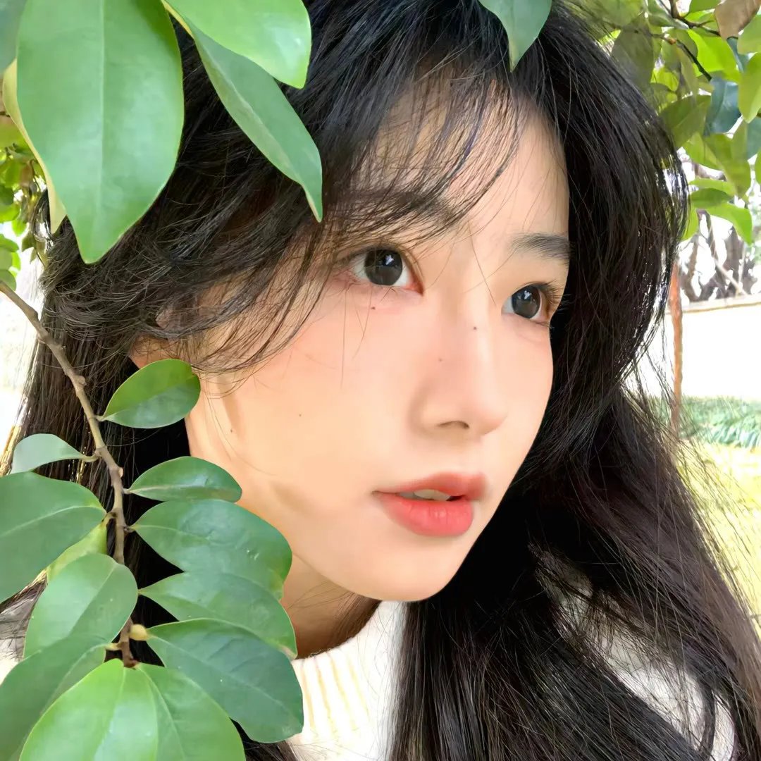 粉红理论